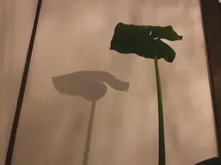 Born to be yoga&relaxのエステ・リラクイメージ