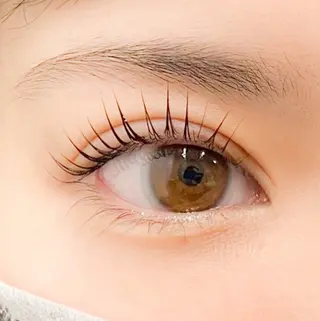 マツエク・マツパ elua所属・ ︎︎ ひなののマツエク・マツパデザイン