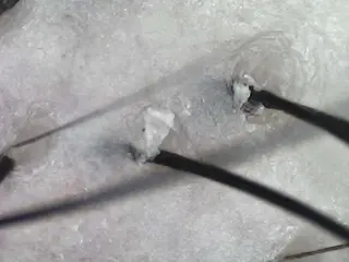 salowin 郡山店所属・中畑 莉菜のヘアスタイル