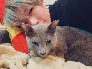 ショート カラー パーマ ヘアアレンジ メンズ キッズ ネイル マツエク・マツパ アイブロウ アニメ,Vオタク× 即効痩せエステサロンのエステ・リラクイメージ