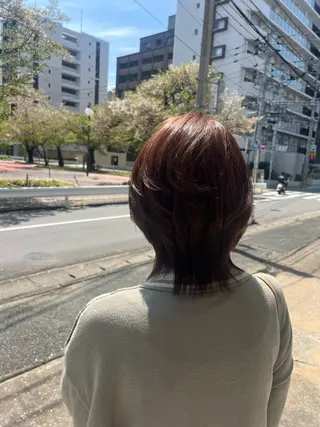 ミディアム ハラちゃんカット✂︎ 透明感🩵ケアカラーのヘアスタイル