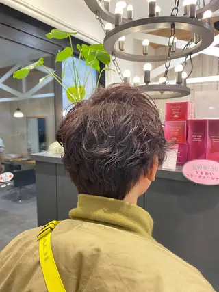 ショート カラー パーマ メンズ 柴田 枝利子のヘアスタイル