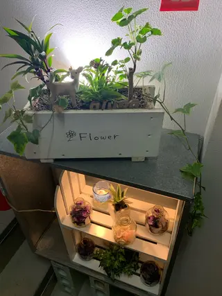 ajuga所属・hama yukiのヘアスタイル