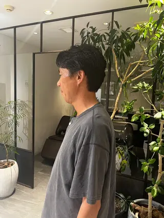 パーマ メンズ 本田 聖のヘアスタイル