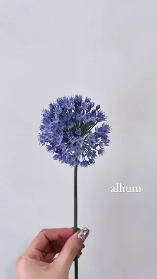 セミロング カラー 暖色カラー／ ヘアセット🌛櫻井舞のヘアスタイル