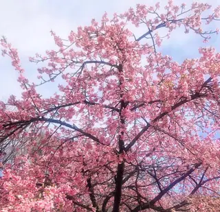 ショート カラー パーマ ヘアアレンジ メンズ キッズ GOTODAY SHAiRE SALON (原宿本店)所属・stylist 🎀 kanaのその他イメージ
