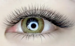 マツエク・マツパ Cute B e au t yのマツエク・マツパデザイン