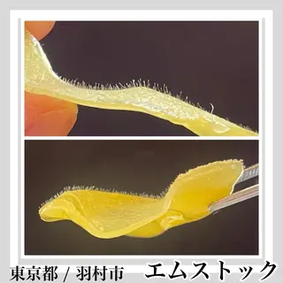 M-stock  のエステ・リラクイメージ