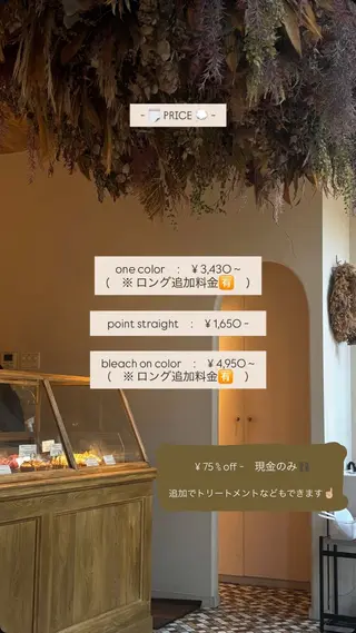 HIBIKI / ブリーチモデルのヘアスタイル