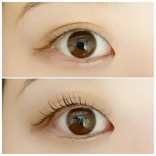 マツエク・マツパ ｍｉｐｐｙ 🪽のマツエク・マツパデザイン