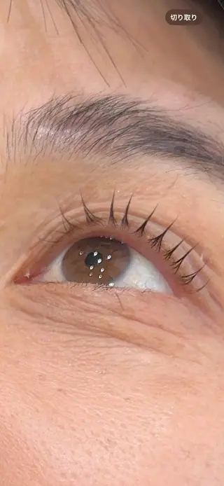 マツエク・マツパ 韓国 / レイヤー / REINAのマツエク・マツパデザイン