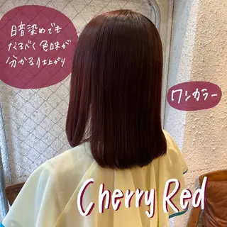 ミディアム カラー 暖色艶color / ボブ🦩Rioのヘアスタイル