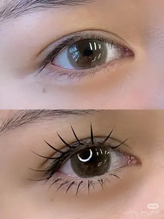 マツエク・マツパ 佐々木 茜のマツエク・マツパデザイン