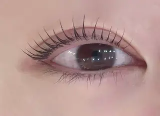 マツエク・マツパ 🌹ブリランテ🌹 大人気店のマツエク・マツパデザイン