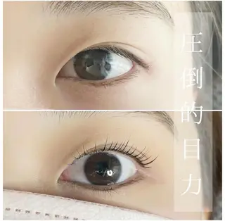 マツエク・マツパ ｍｉｐｐｙ 🪽のマツエク・マツパデザイン