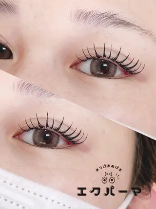 マツエク・マツパ Bunny eyes 武久のマツエク・マツパデザイン