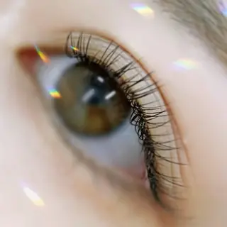 マツエク・マツパ まつげと眉毛のお店Sakura Lash【サクララッシュ】所属・【ダメージケア特化】 🌸 サクララッシュの眉毛・アイブロウイメージ
