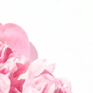 TIÁM eyelashのマツエク・マツパデザイン