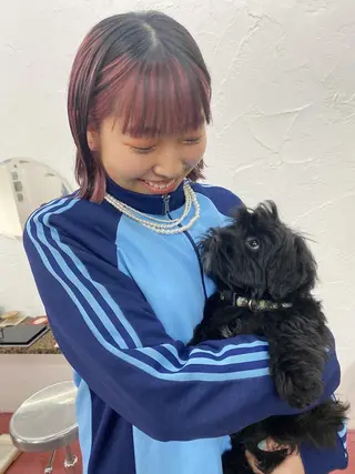 ショート カラー qiie リタッチ 黒染め　ワンカラーのヘアスタイル