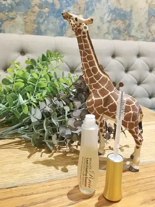 マツエク・マツパ 眉毛まつ毛専門店 uralogeのマツエク・マツパデザイン