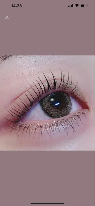 マツエク・マツパ eyelist 馬場のマツエク・マツパデザイン