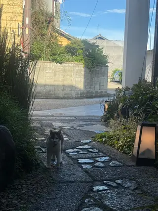 メナードフェイシャルサロン丸の内ヒルズ所属・メナード丸の内ヒルズ 柳田りさのエステ・リラクイメージ