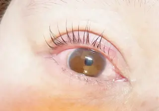 マツエク・マツパ Mresyume MAYUのマツエク・マツパデザイン