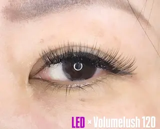 マツエク・マツパ LEDエクステ専門店 Fedis 京橋のマツエク・マツパデザイン