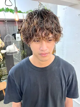 ショート パーマ メンズ 木村陸弥 似合わせ 透明感カラー🌿のヘアスタイル