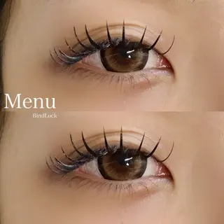 マツエク・マツパ まつげ&美眉専門店　ALPINA 阪神西宮所属・つじもと なみのマツエク・マツパデザイン