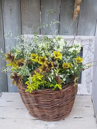 Fes Bonito❤所属・kawano shieriのエステ・リラクイメージ