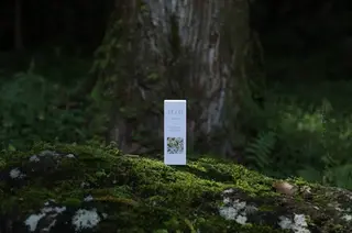 sliver siki/yuuのヘアスタイル