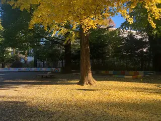 basico  のエステ・リラクイメージ