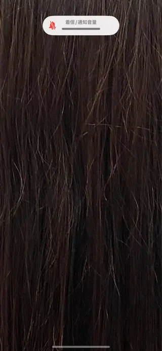 セミロング カラー 🥣ブリーチ・カラー 平城秀馬/原宿のヘアスタイル