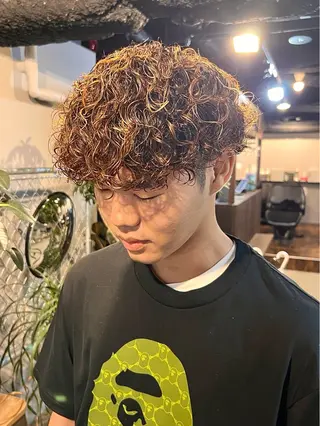 パーマ メンズ men’s salon NOA solte. 【メンズサロン ノアソルテ】所属・メンズパーマ職人 加藤 弘貴のヘアスタイル