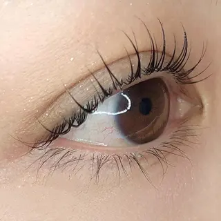 ãããšã¯ã»ããã jolie æ ð€ã®ãããšã¯ã»ããããã¶ã€ã³