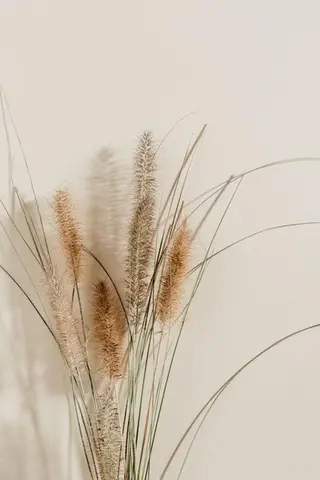 マツエク・マツパ miien(SALONVILLAGE内)所属・MOE /渋谷・明治神宮前のマツエク・マツパデザイン