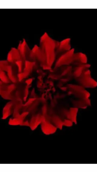 ポーラザビューティー松原店所属・ポーラ松原店 北口のエステ・リラクイメージ