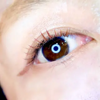 マツエク・マツパ Fukushi/ 自由が丘quint;のマツエク・マツパデザイン