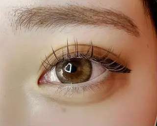 マツエク・マツパ Celeste Venus所属・🧸Celeste Venusのマツエク・マツパデザイン