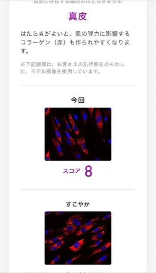 POLAクリスタルアンジュ所属・POLA御器所店 かわいれなのエステ・リラクイメージ