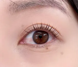 ใใใจใฏใปใใใ ๐๐๐๐๐ ๐ฆ๐ใฎใใใจใฏใปใใใใใถใคใณ