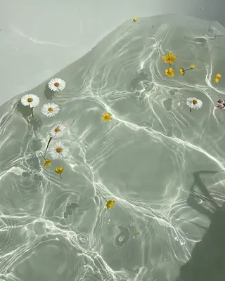 SSINSTUDIO 野口の眉毛・アイブロウイメージ