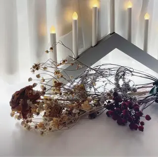 ｍｉｐｐｙ 🪽のマツエク・マツパデザイン