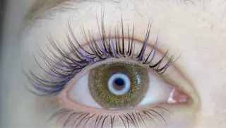 マツエク・マツパ ACIEL EYE LASH SALONのマツエク・マツパデザイン