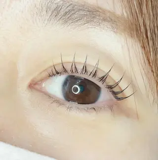 マツエク・マツパ 《eyelash ｉｉｔｅ》森のマツエク・マツパデザイン