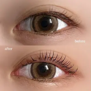 マツエク・マツパ 垢抜け眉WAX専門 ちゅるんまつげ|鎌倉の眉毛・アイブロウイメージ