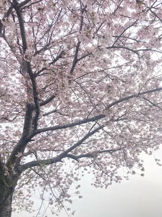 フェイシャルサロン ビアンカガーデンのエステ・リラクイメージ