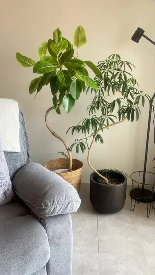 ネイル anny /あにのネイルデザイン