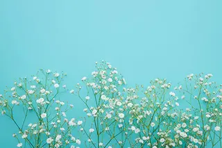 マツエク・マツパ やまもと あいらのマツエク・マツパデザイン